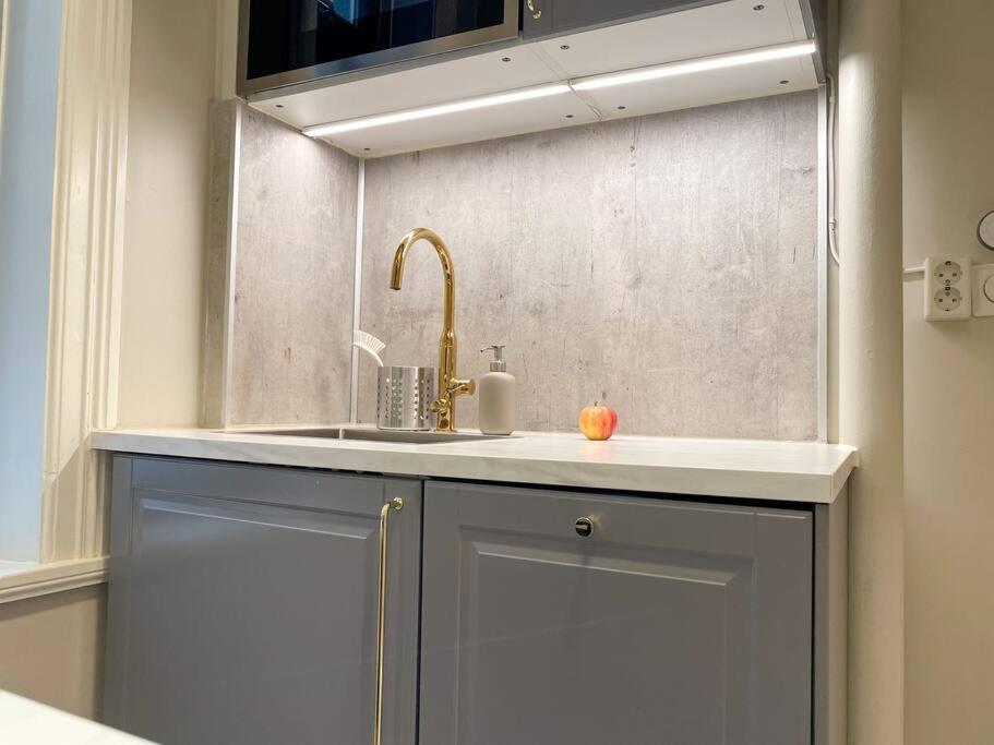 Luxury Apartement In Oslo Dış mekan fotoğraf